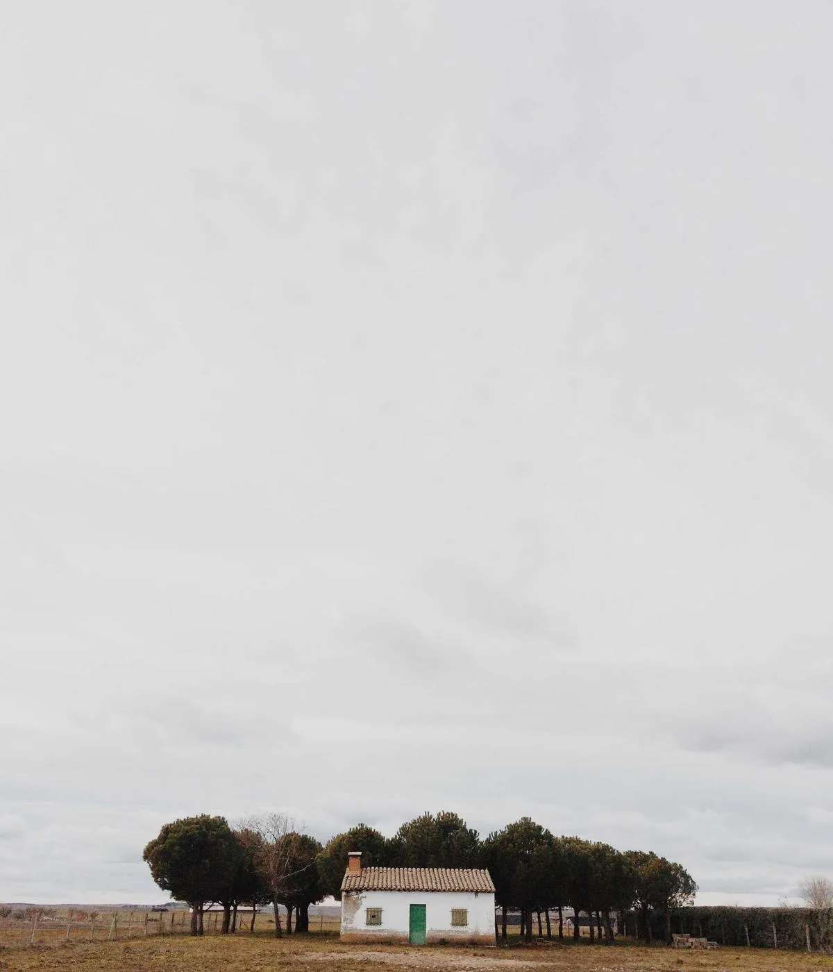 zzlog.cc 關於頁的人像照片