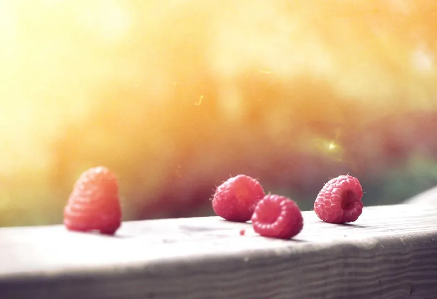 台南午後陽光照亮的街道。