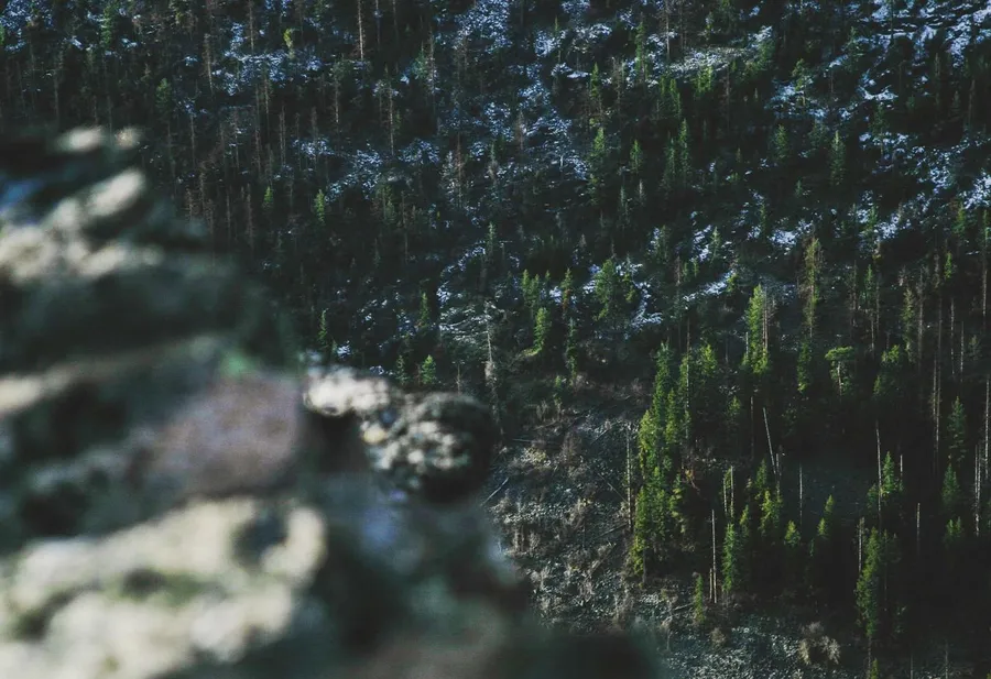 東京雨後散步 detail 2