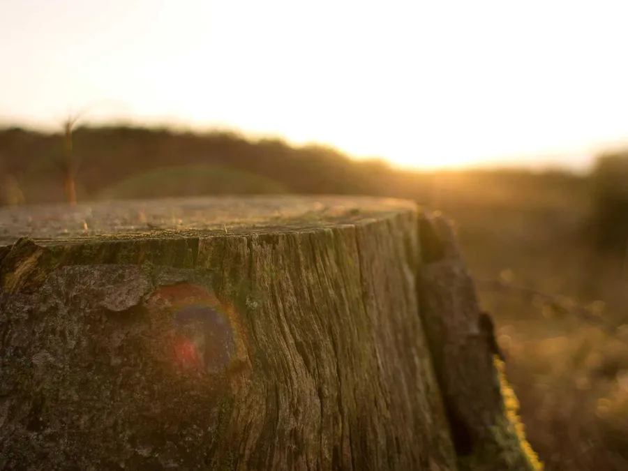 精選相簿照片 1